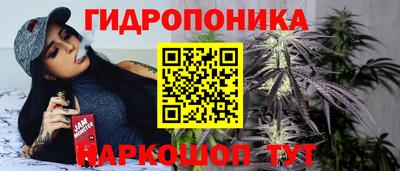 PSILOCYBIN Мариинск