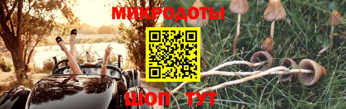 Псилоцибиновые грибы мицелий  Вход с VPN  Волгодонск 