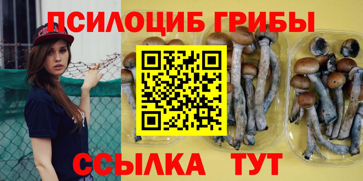 Псилоцибиновые грибы Psilocybe Волгодонск